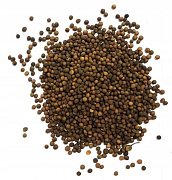 Krmné směsi Kvídera Vikev hnědá 25 Kg