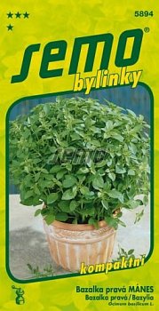 Bazalka pravá 0,8g ***