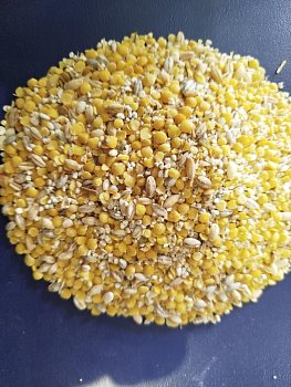 Čočka Loupaná s příměsí ječmene loupaného, ovsa nahého, pšenice a žita 1 kg