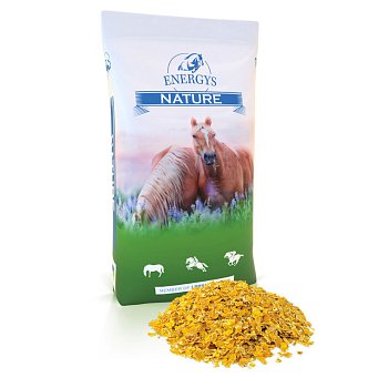 Energys Cornflakes (kukuřičné vločky, 15 kg)