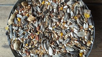 Kampol Zob pro velké papoušky 1 kg