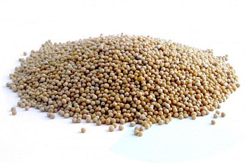 Krmné směsi Kvídera Hořčice 1 Kg