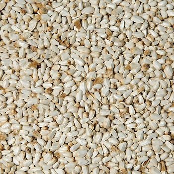 Krmné směsi Kvídera Kardi (světlice barvířská) 1 Kg