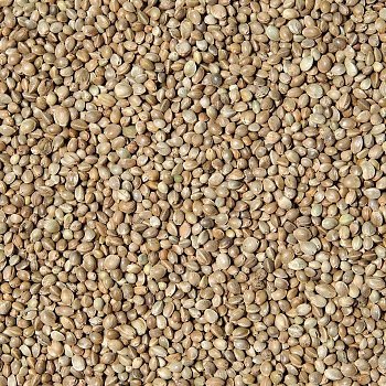 Krmné směsi Kvídera Konopné semínko vážené - Semenec 1 Kg