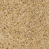 Krmné směsi Kvídera Lesknice pro papoušky 1 Kg