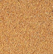 Krmné směsi Kvídera Proso žluté 25 kg