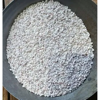 Paloma Bílý grit 2,2 kg s anýzem