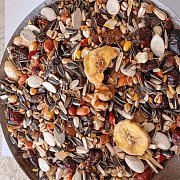 Parrots Exotic Fruit mix (směs pro papoušky - ovoce)