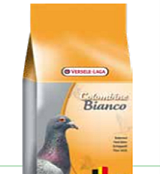 Podlahová běloba bianco 5 kg