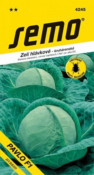 Zelí PAVLO F1 40s **
