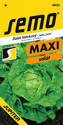 Výprodej - Salát Jupiter 0,3g * letní