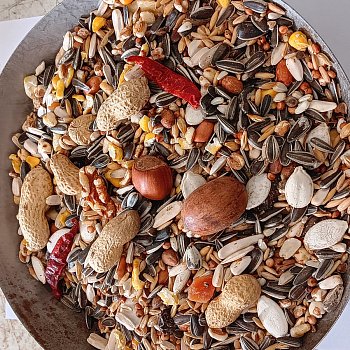 Versele Laga n.v. Parrots Exotic Nut mix (směs pro papoušky - ořechy) 1 kg