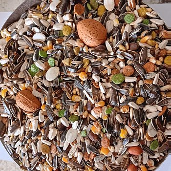 Versele Laga n.v. Směs pro papoušky Ara Loro Mix 1 kg