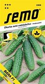 Výprodej - Okurka Bára F1 2g *** ** - Výprodej