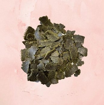 Zelená Země s.r.o. Konopné pokrutiny 1 kg
