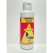 Česnekový olej 200 ml