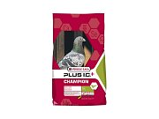 Champion Plus ( pro holuby)