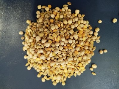 Hrách žlutý - Půlky s příměsí ječmene 25 kg
