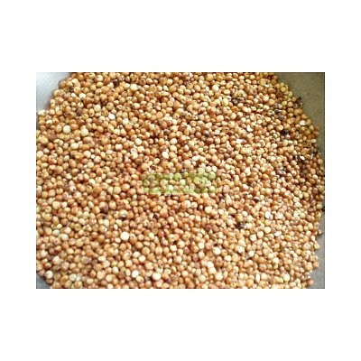 Krmné směsi Kvídera Čirok 25 Kg