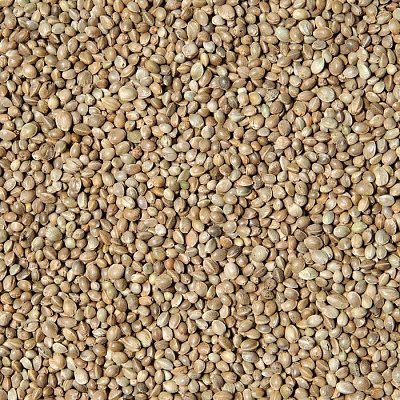 Krmné směsi Kvídera Konopné semínko vážené - Semenec 20 Kg