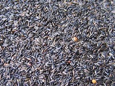 Krmné směsi Kvídera Niger 25 Kg