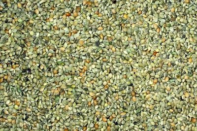 Krmné směsi Kvídera Proso zelené 25 Kg