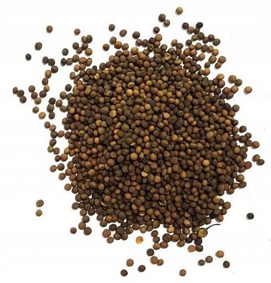 Krmné směsi Kvídera Vikev hnědá 25 Kg