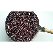 Kukuřice černá 1 kg 