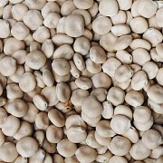 Lupina (Lupina cukrová) 1 kg