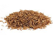Mouční červi - Sušení 1 Kg