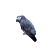 PTACTVO