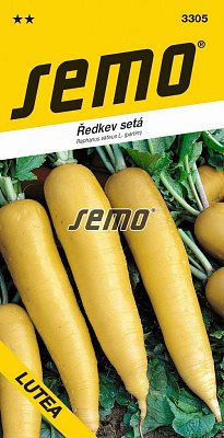 Ředkev setá Lutea **