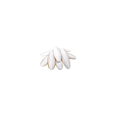 Sépiová kost velká (23 - 30 cm) 1 ks