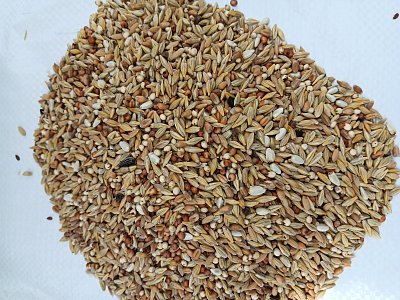 Versele Laga n.v. Classic depurative dieta ( základní směs ) 20 kg