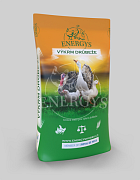 Výprodej BROJLER MINI FORTE drcená 25 kg Výprodej