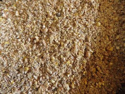 Zea Sedmihorky, spol. s r. o. Krmivo pro užitkové nosnice N 3 GMO FREE sypká 25 kg