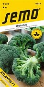Brokolice Atlantis F1 30s *** **