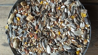 Kampol Zob pro velké papoušky 10 kg