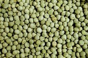 Krmné směsi Kvídera Hrách zelený krmný 1 Kg