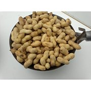 Krmné směsi Kvídera Podzemnice olejná - burák neloupaný 1 Kg