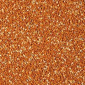 Krmné směsi Kvídera Proso červené pro ptáky 1 Kg