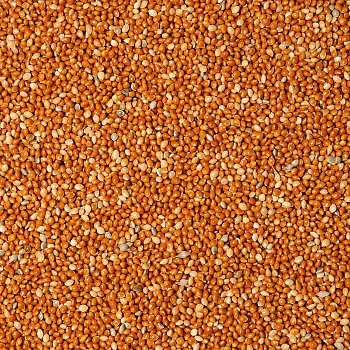 Krmné směsi Kvídera Proso červené pro ptáky 1 Kg