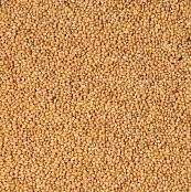 Krmné směsi Kvídera Proso žluté 1kg