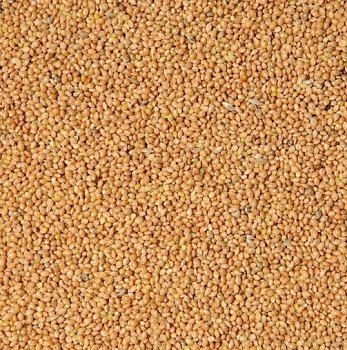 Krmné směsi Kvídera Proso žluté 1kg