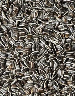 Krmné směsi Kvídera Slunečnice žíhaná malá 1 Kg