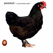 Kuřice Dominant Darkshell