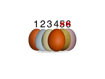 Veselé vejce (max 1 kus slepičky od jedné barvy skořápky na jednu objednávku)