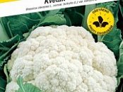 Květák Bora 0,5g ***