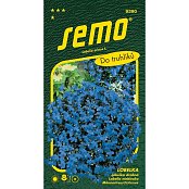 Lobelka - Crystal Palace *** *