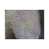 Mikrop Čebín a.s. Bílkovinný koncentrát BK CDP 1 Kg